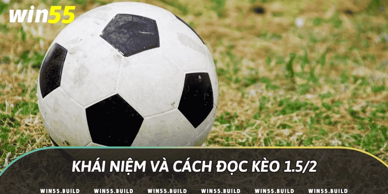 Khái niệm và cách đọc kèo 1.5/2