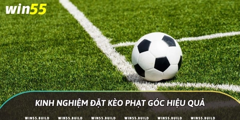 Kinh nghiệm đặt kèo phạt góc hiệu quả